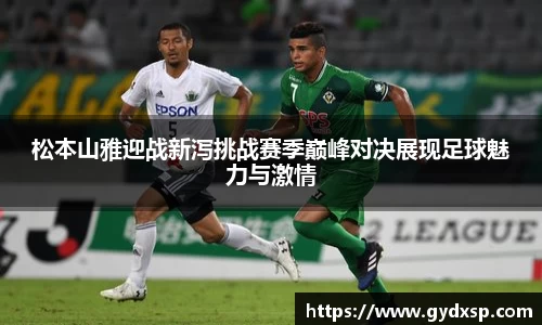 松本山雅迎战新泻挑战赛季巅峰对决展现足球魅力与激情
